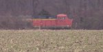 BNSF coal train